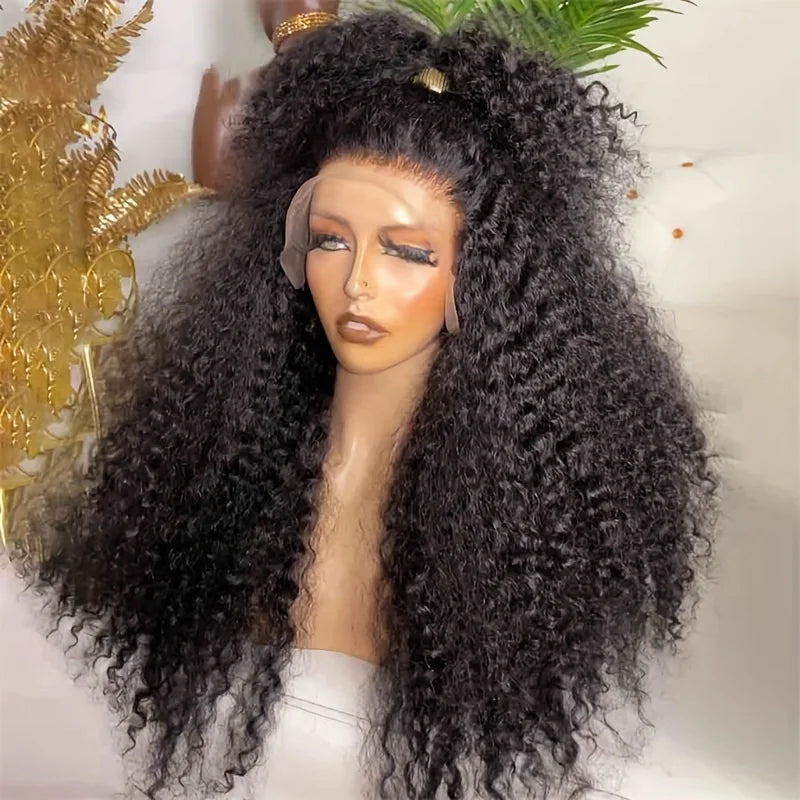 Long Kinky Curly Human Hair 30inch Natural Black 13x6 HD Lace Front Wigs Brazilian Free Part Pre plucked with Baby Hair Glueless